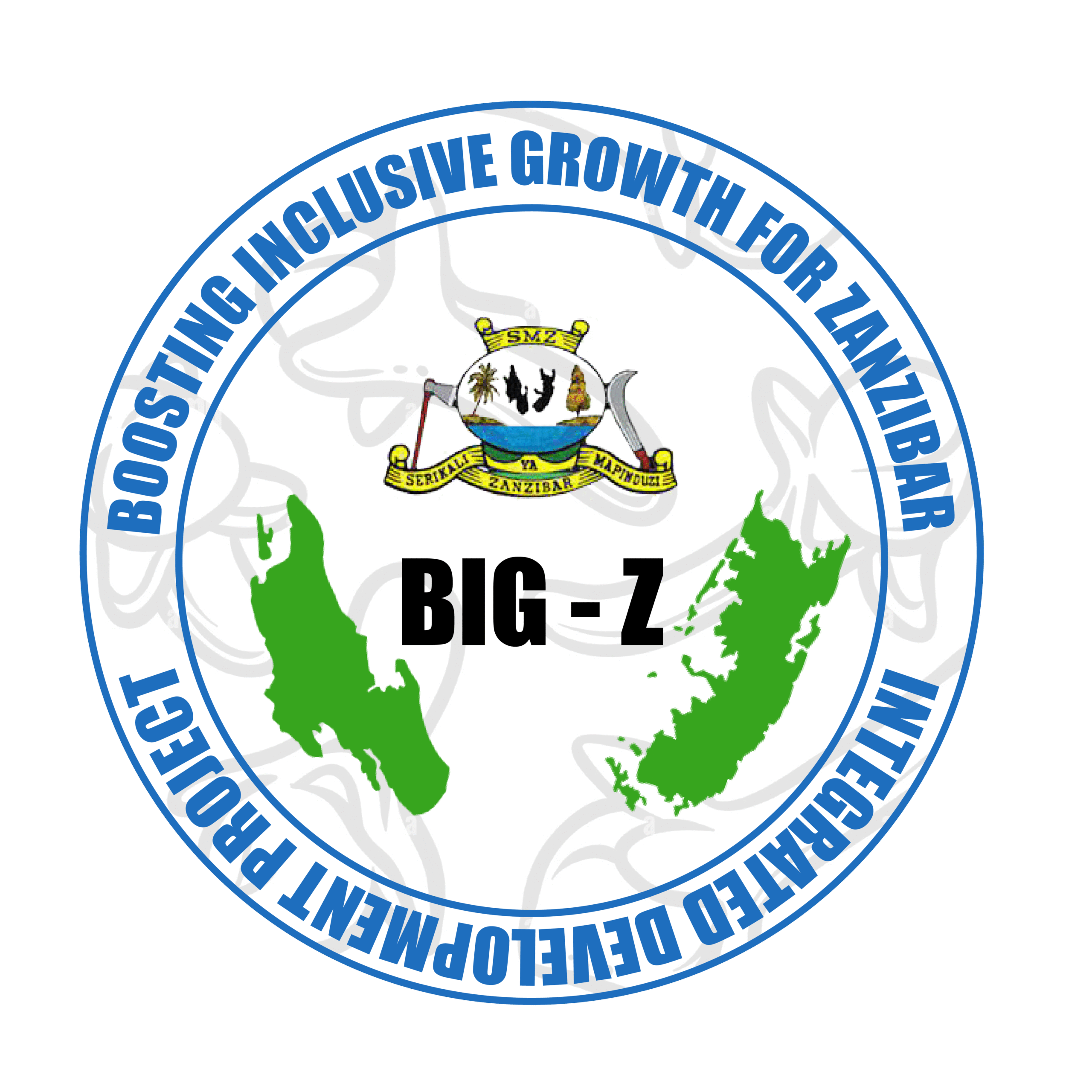BIG-Z Project Zanzibar